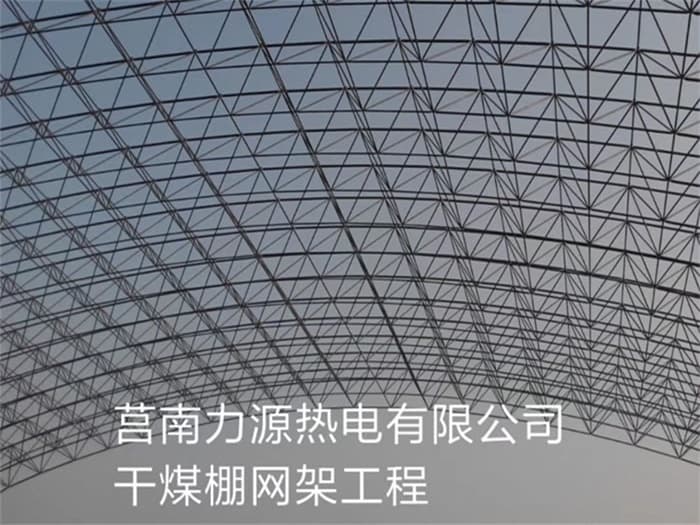 慈溪力源热电有限公司干煤棚网架工程